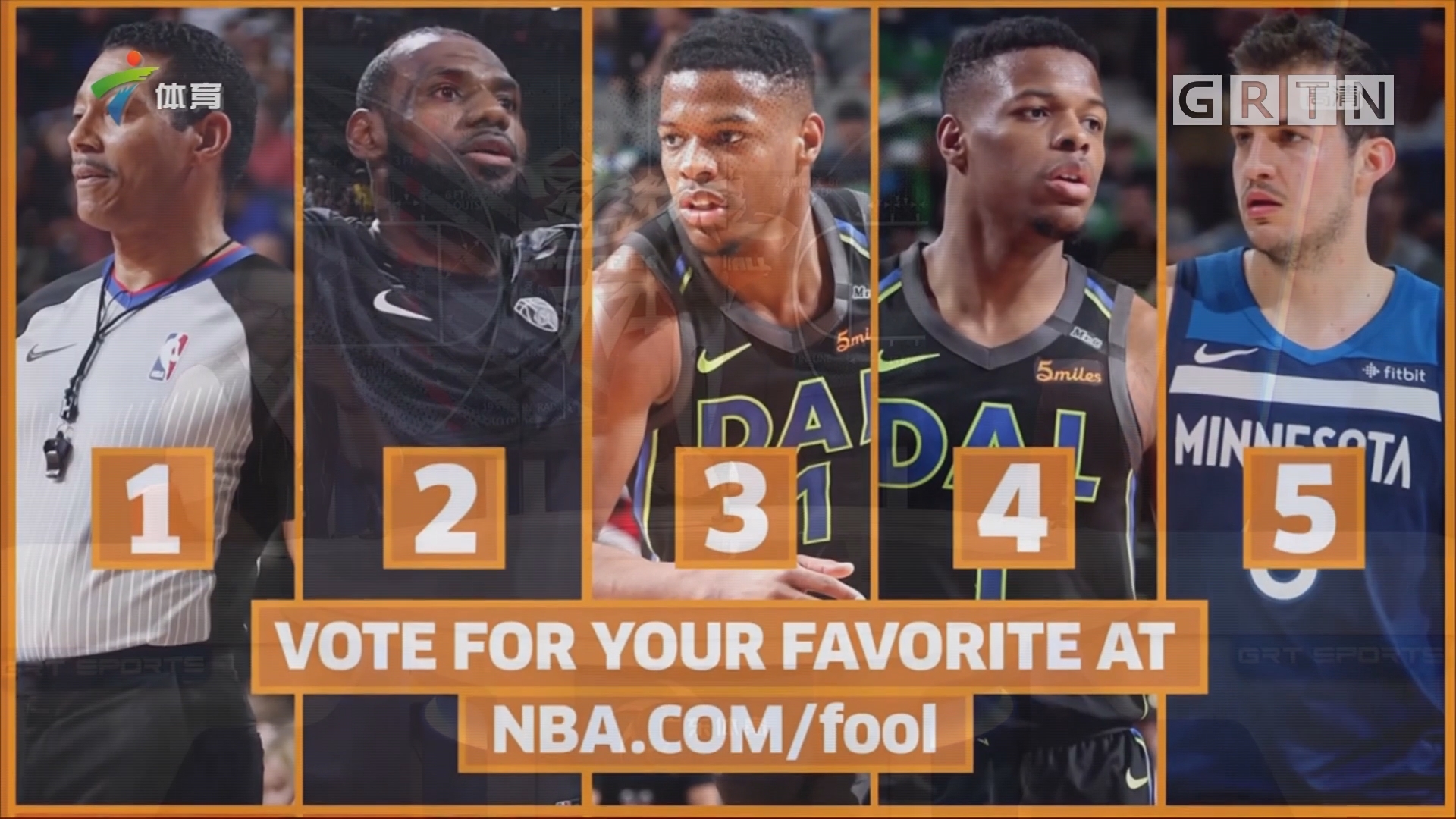 引发了国内 引发了国内